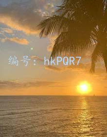 赸