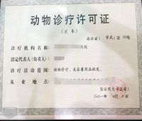 SEO 的自然流量跳出率低、转化高，说明内容质量好